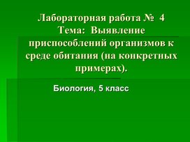 Лабораторнаяработа .Среда обитанмия.