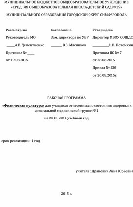 Рабочая программа по СМГ 1 группа