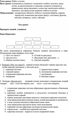 ПЛАН-КОНСПЕКТ УРОКА В 7 КЛАССЕ "ПОБЕГ И ПОЧКИ"