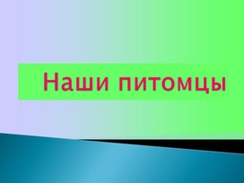 Презентация " НАШИ ПИТОМЦЫ"