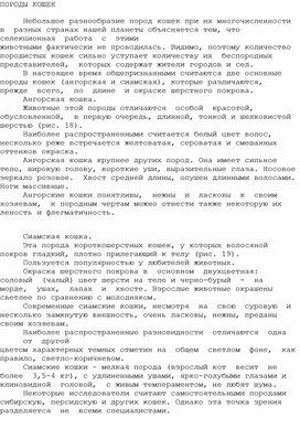 Обложка для материала ПОРОДЫ КОШЕК
