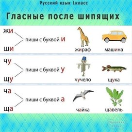 Обложка для материала гласные после шипящих