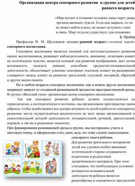 Организация центра сенсорного развития  в группе для детей раннего возраста.