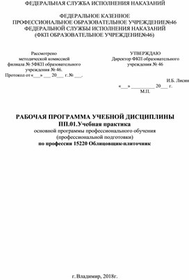 РАБОЧАЯ ПРОГРАММА ПРАКТИКИ ПП.01.Учебная практика по профессии 15220 Облицовщик-плиточник