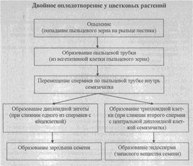 Материал к урокам  биологии