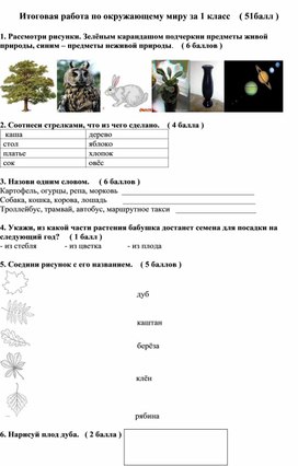 Итоговая контрольная работа по окружающему миру  1 класс.