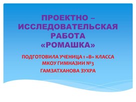 ПРОЕКТНО – ИССЛЕДОВАТЕЛЬСКАЯРАБОТА «РОМАШКА»