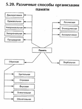 Обложка для материала материал по психофизиологии