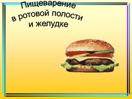 Обложка для материала Пищеварение в ротовой полости и желудке