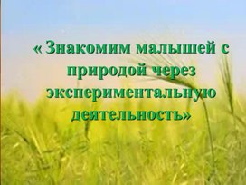 « Знакомим малышей с природой через экспериментальную деятельность»