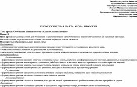Обложка для материала Технологическая карта урока обобщающего повторения по теме "Класс Млекопитающие"