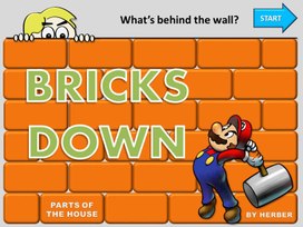 Игра-презентация по английскому языку на тему: "Brick game"