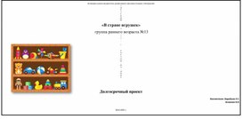 Долгосрочный проект для группы раннего возраста "в стране игрушкек"