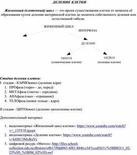 Опорный материал по биологии "Деление клетки" (10 класс)