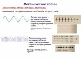 Обложка для материала Физика_9 класс_Колебания и волны_Волновое движение_ОК. Механические волны