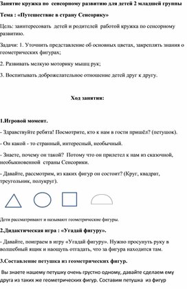 Кружковая деятельность Тема : «Путешествие в страну Сенсорику»