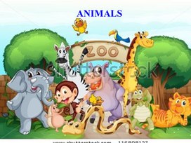 Презентация к уроку по английскому языку на тему Our funny animals (2 класс) УМК Enjoy English