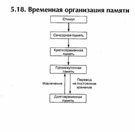 Обложка для материала материал по психофизиологии