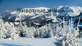 Обложка для материала " Животные зимой"