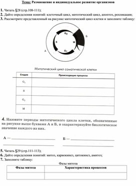 Задание для дистанционного занятия по теме "Размножение и индивидуальное развитие организмов"