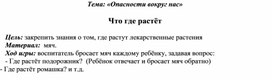 Обложка для материала Дидактическая игра "Что где растет"