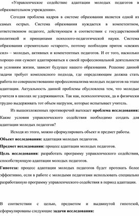 Программа  «Управленческое содействие адаптации молодых педагогов в образовательном учреждении».