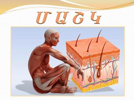 Մաշկ