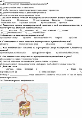 Обложка для материала Тест по теме: "Пищеварительная система"
