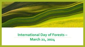 International Day of Forests –  March 21