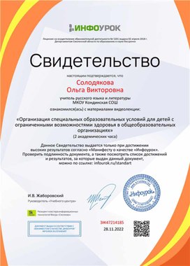 Обложка для материала Свидетельство "Организация специальных образовательных условий для детей с ОВЗ"
