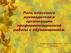 Роль классного руководителя в организации профориентационной работы с обучающимися Слайды