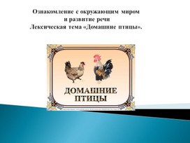 Презентация"Домашние птицы"