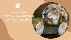 Обложка для материала Проект: «Волонтерство: зов души или веяние моды?»
