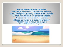 Обложка для материала Проектно-исследовательская работа "Эффект дельфина, или Дельфинотерапия"