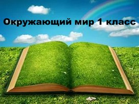 Конспект урока окружающего мира на тему " Съедобные и несъедобные грибы." ( 1 класс, окружающий мир)