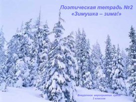 Поэтическая тетрадь о зиме