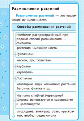 Обложка для материала Окружающий мир для 1-4 классов_схема_14