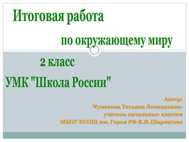 Обложка для материала Итоговая работа за 2 полугодие . Окружающий мир. 2 класс. УМК "Школа России"