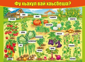 Обучающий плакат на ингушском языке овощи