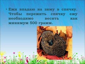 Обложка для материала обьемный ежик продолжение