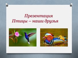 Презентация на тему:"Птицы – наши друзья"(приложение к Конспекту внеклассного мероприятия на  тему: «Украшение земли – птицы»