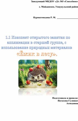 Обложка для материала Конспект открытого занятия по аппликации в старшей группе, с использование природных материалов «Ёжик в лесу».