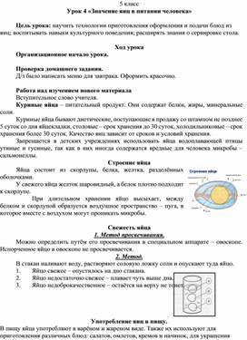 Конспект урока"Значение яиц в питании человека"