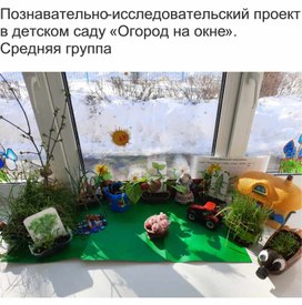 Обложка для материала «Огород на окне». Средняя группа