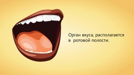Обложка для материала Орган вкус