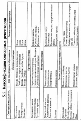 Обложка для материала материал по психофизиологии
