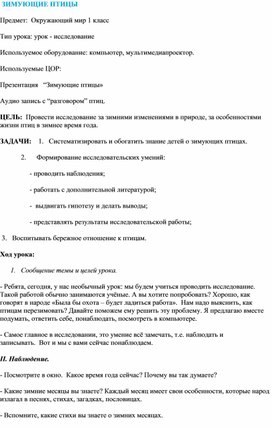 Урок-исследование по окружающему миру на тему: "Зимующие птицы"