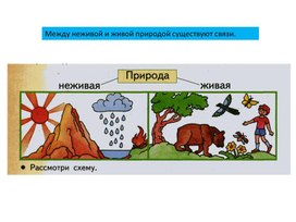 Презентация к уроку окружающего мира  во 2 классе на тему: "Невидимые нити".