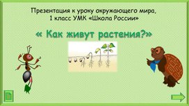 Как живут растения