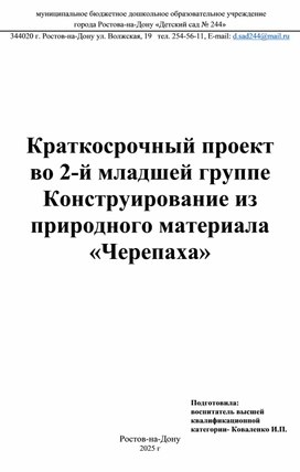 Обложка для материала Конструирование из природного материала «Черепаха»